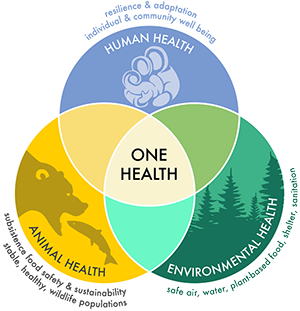 One Health Venn Diagram