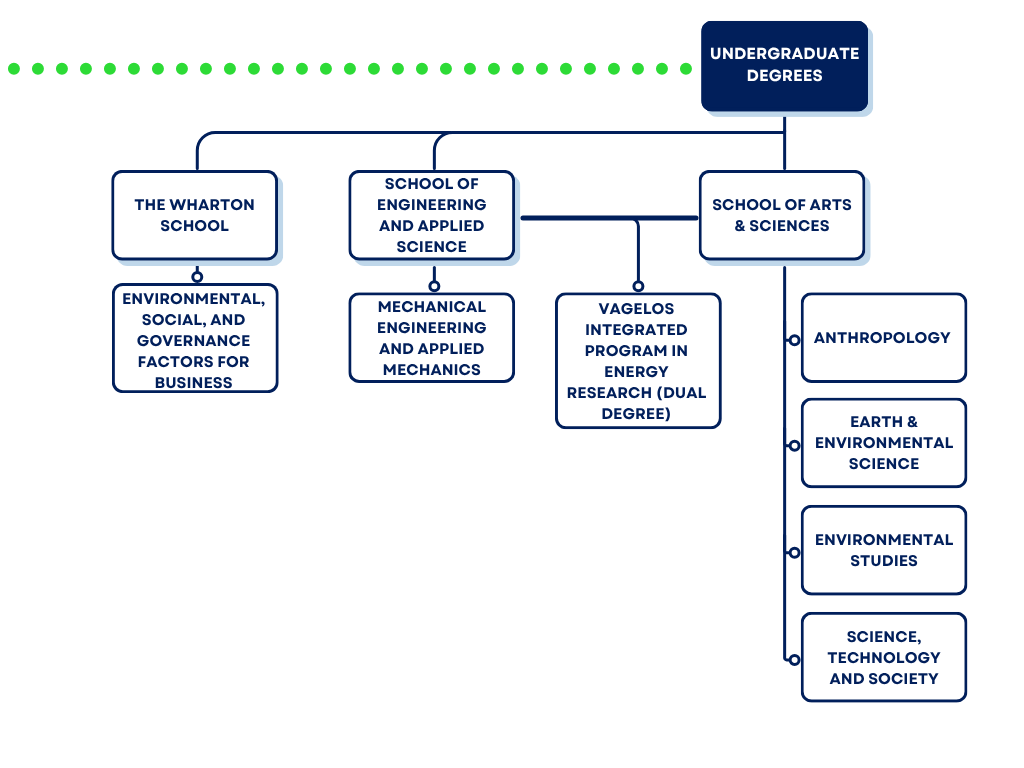 A flowchart representing undergraduate degrees available at various Penn schools.